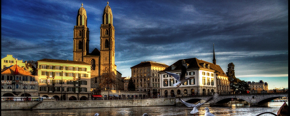 Grossmünster (und Möwen)